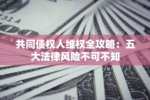 武汉共同债权人维权全攻略：五大法律风险不可不知
