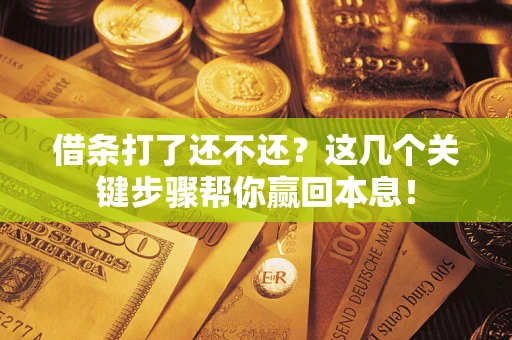 武汉借条打了还不还？这几个关键步骤帮你赢回本息！