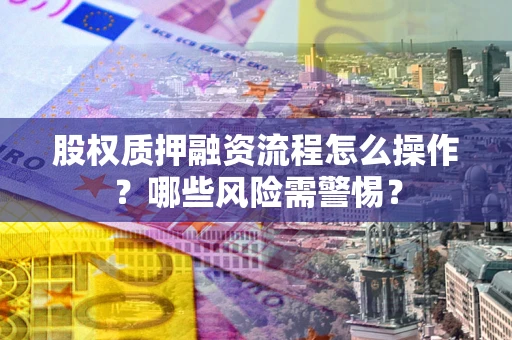武汉股权质押融资流程怎么操作？哪些风险需警惕？