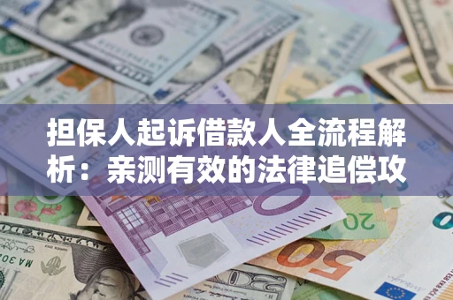 武汉担保人起诉借款人全流程解析：亲测有效的法律追偿攻略