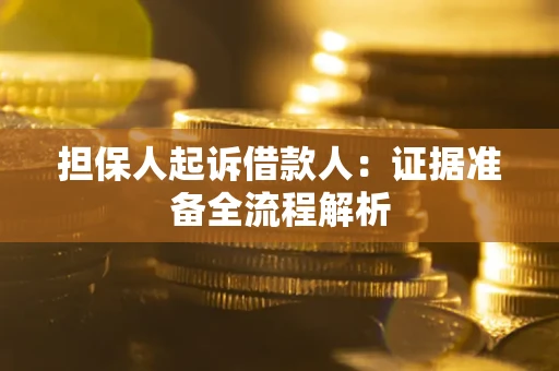 武汉担保人起诉借款人：证据准备全流程解析