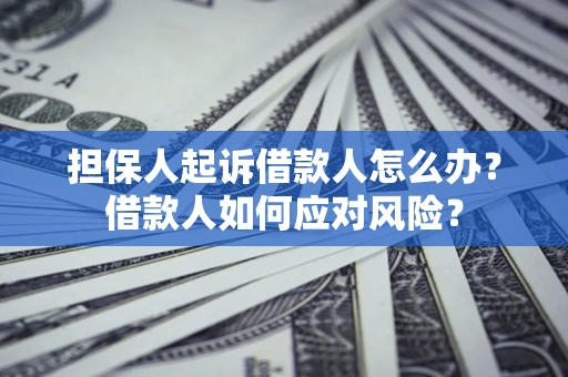 武汉担保人起诉借款人怎么办？借款人如何应对风险？