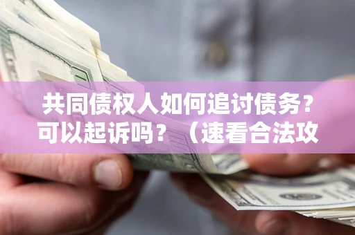 武汉共同债权人如何追讨债务？可以起诉吗？（速看合法攻略）