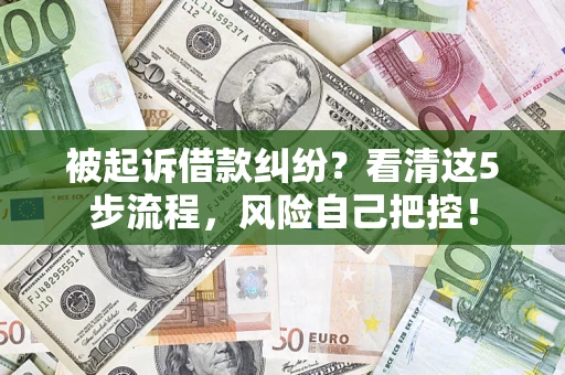 武汉被起诉借款纠纷？看清这5步流程，风险自己把控！