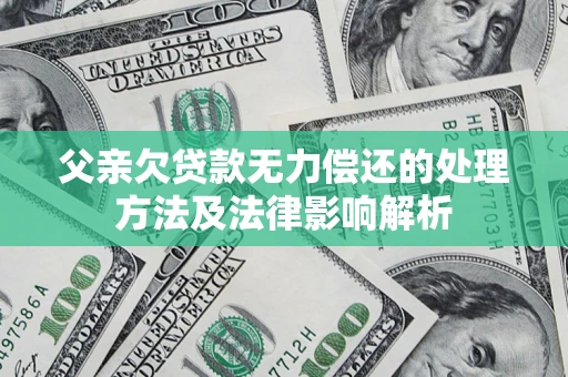 武汉父亲欠贷款无力偿还的处理方法及法律影响解析