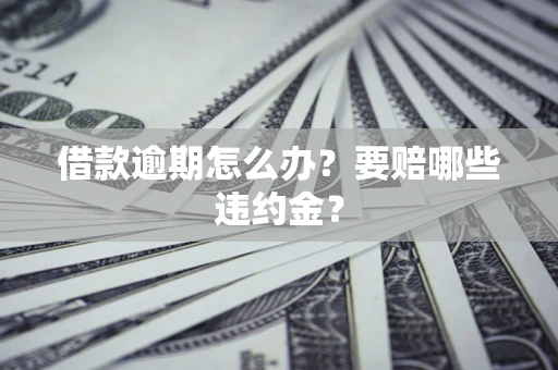 武汉借款逾期怎么办？要赔哪些违约金？