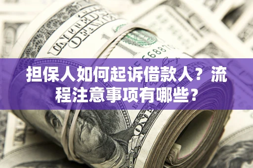 武汉担保人如何起诉借款人？流程注意事项有哪些？